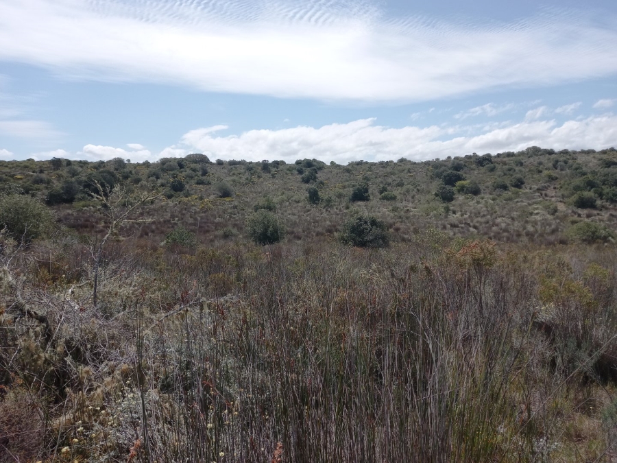 3 Bedroom Property for Sale in Stilbaai Rural Western Cape